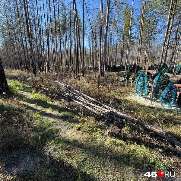 Источник: Кирилл Митин