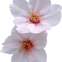 Аватарка Не скучная!