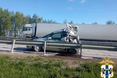 «Скончался на месте»: грузовик сбил водителя «Тойоты»