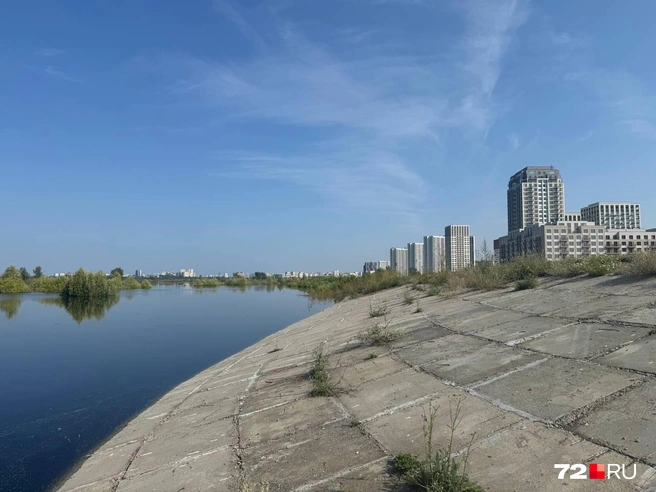 Уровень воды вы можете оценить сами  | Источник: Илья Чикотин / 72.RU 