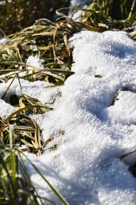 Источник: Анастасия Руднева / Vk.com