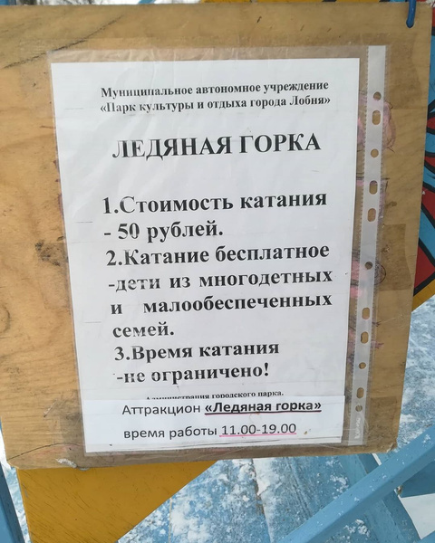 В Подмосковье муниципалитет пытался брать с детей по 50 рублей за катание на ледяной горке (фото)