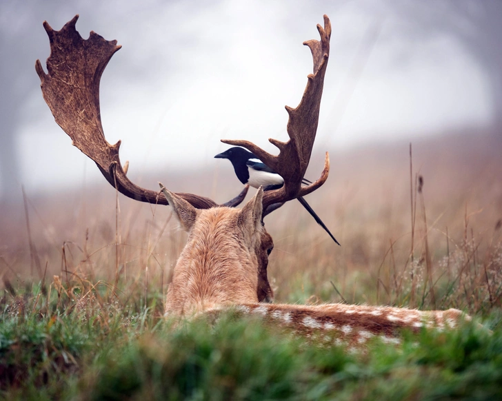 Источник: Max Ellis / CATERS NEWS via Legion Media