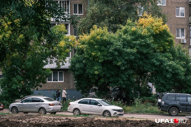 Желтеющие деревья украшают собой любой двор | Источник: Булат Салихов / UFA1.RU