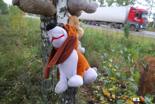 Собаку, которая случайно прибилась к аллее медведей, скоро перевесят в новое место  | Источник: Владислав Лоншаков / E1.RU 