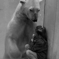 Аватарка JulieStar