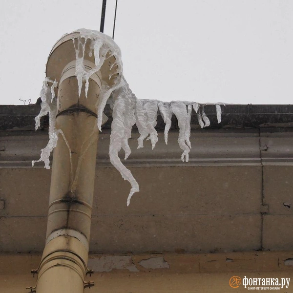 Источник: Михаил Огнев / FONTANKA.RU