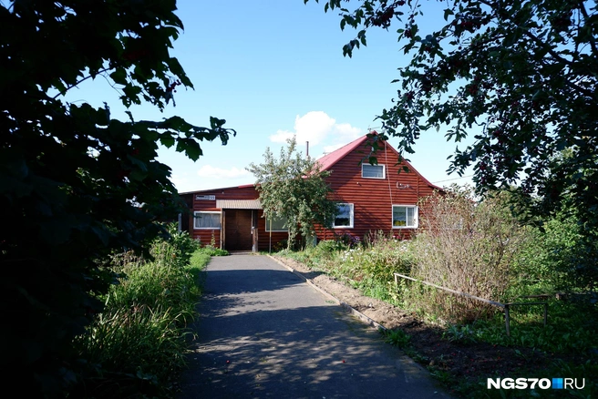 На этом участке когда-то жили Штенгеловы | Источник: Варвара Фролова / NGS70.RU