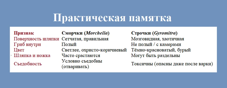 Источник: Элина Миронова