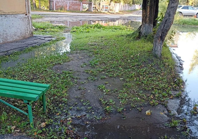 Сильно пахнущие лужи находятся около подъезда | Источник: «Аварийный Омск» / vk.com