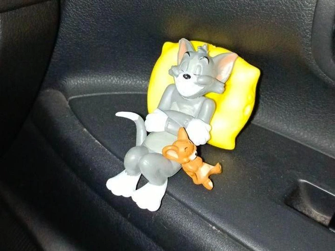 Эти двое устроились на двери автомобиля | Источник: Читатель NGS24.RU