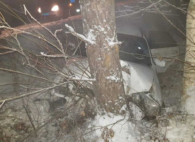 В аварии в Клепиковском районе пострадали три человека | ya62.ru