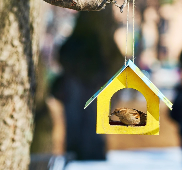Источник: Evgeniy Korolev/Shutterstock/Fotodom.ru