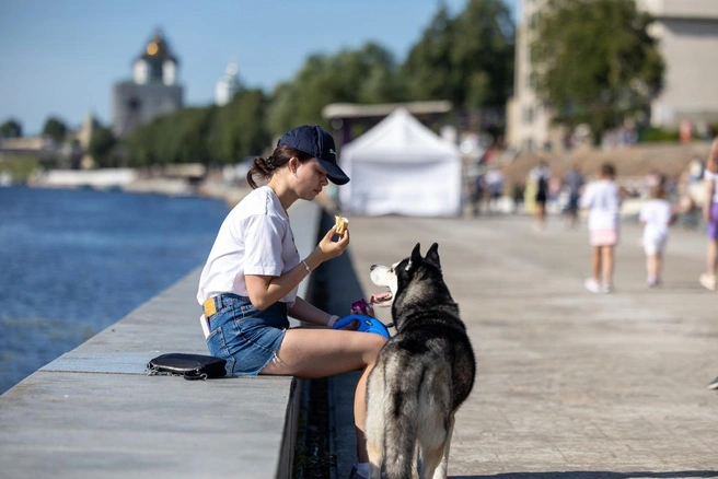 Источник: pskov.ru