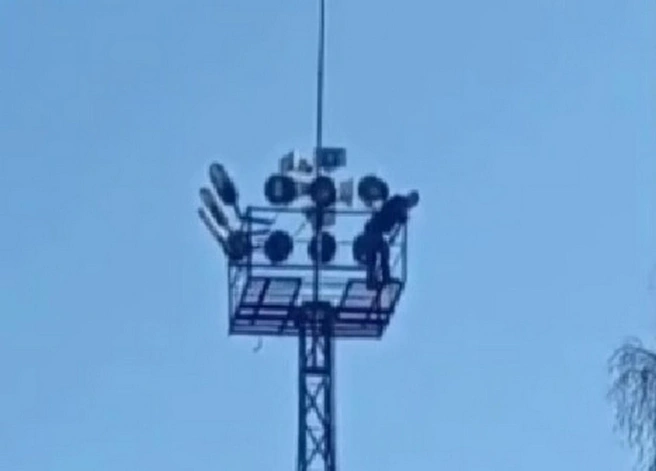 В Выборге пьяный мужчина забрался на 30-метровую вышку, но не устоял перед предложением Росгвардии: видео | Источник: Росгвардия Петербурга