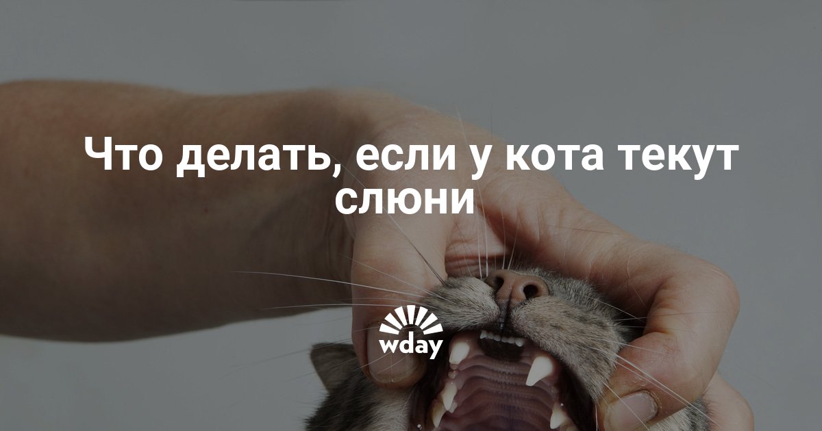 Текут форсунки симптомы