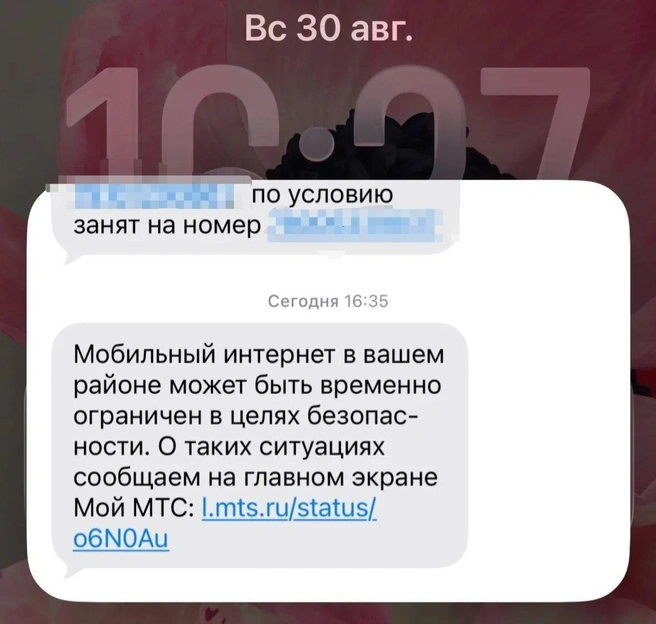 Источник: Регина Алтынбаева / 116.RU
