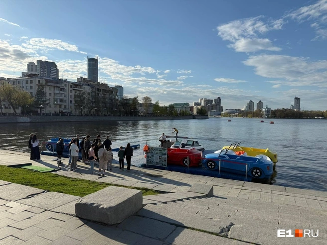 Обстановка на городском пруду | Источник: Анастасия Баранова / E1.RU
