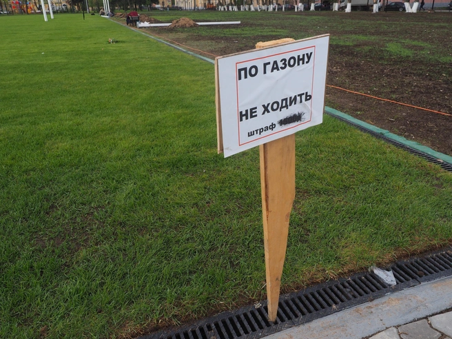 Источник: Михаил Огнев / FONTANKA.RU