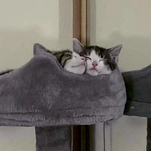 Источник: соцсеть