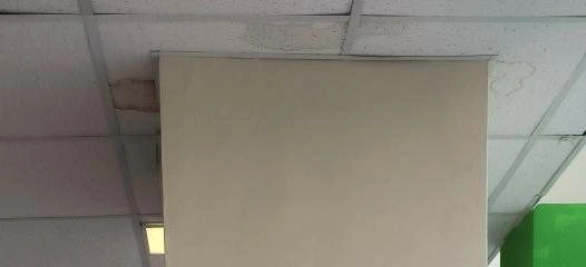 Источник: Олег Давыдов / VK.com
