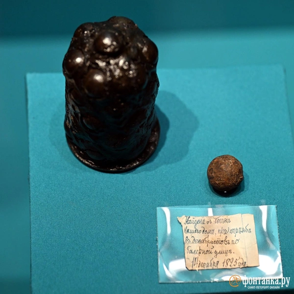 Источник: Илья Снопченко / FONTANKA.RU