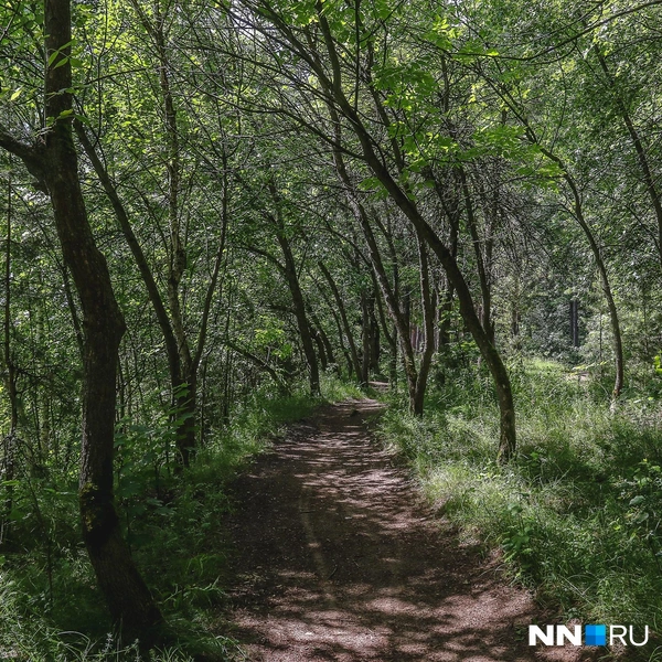 Источник: Наталья Бурухина / NN.RU