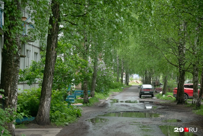 Источник: Иван Митюшёв / 29.RU