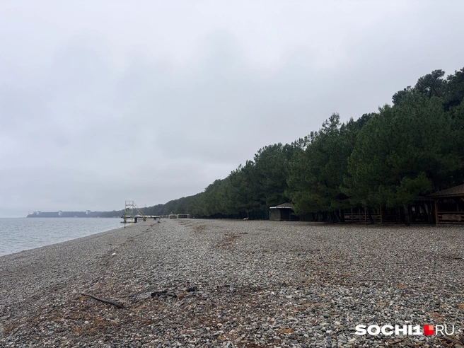 На многие километры ни души  | Источник: Анна Грицевич / SOCHI1.RU