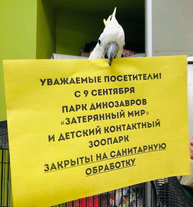 Надолго ли закрыли экспозицию, пока неясно | Источник: Челябинский зоопарк