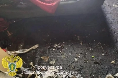 Siberian woman charged in disabled girl's fire death