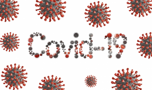 У Смольного новый план борьбы с коронавирусом: скорой - планшеты, лабораториям - реактивы, терапевтам - машины