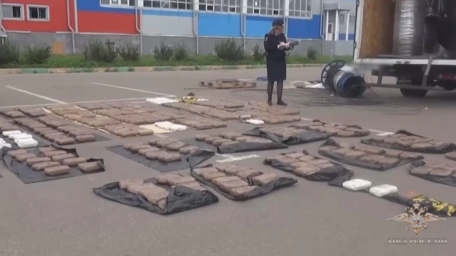 На М-11 поймали курьеров, которые везли из Ленобласти в Москву полтонны наркотиков | Источник: Ирина Волк