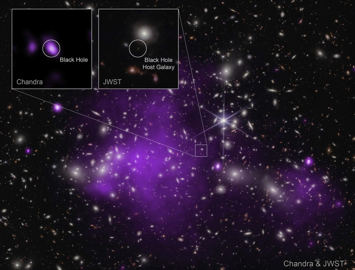 «Это шок для всех»: NASA обнаружили самую древнюю Черную дыру — на удивление она фиолетовая