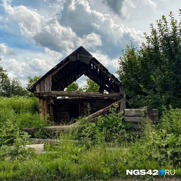Источник: Елизавета Богатырева / NGS42.RU