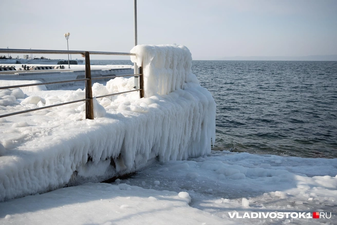 Источник: Елена Буйвол / VLADIVOSTOK1.RU