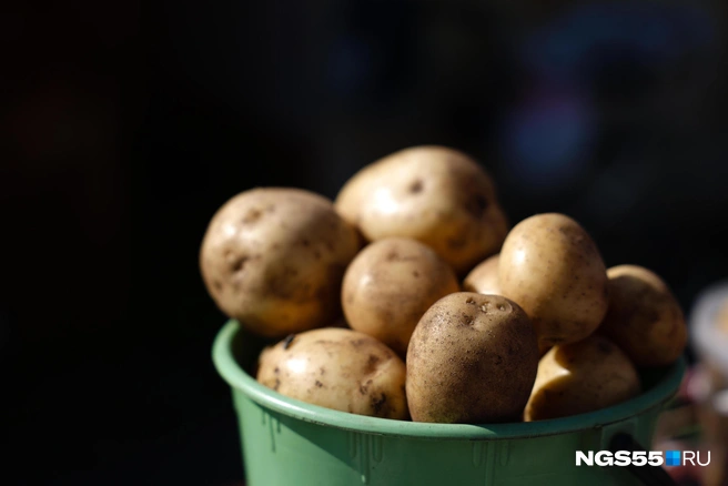 Картофель и другие сезонные овощи сейчас недорогие | Источник: Евгений Софийчук / NGS55.RU