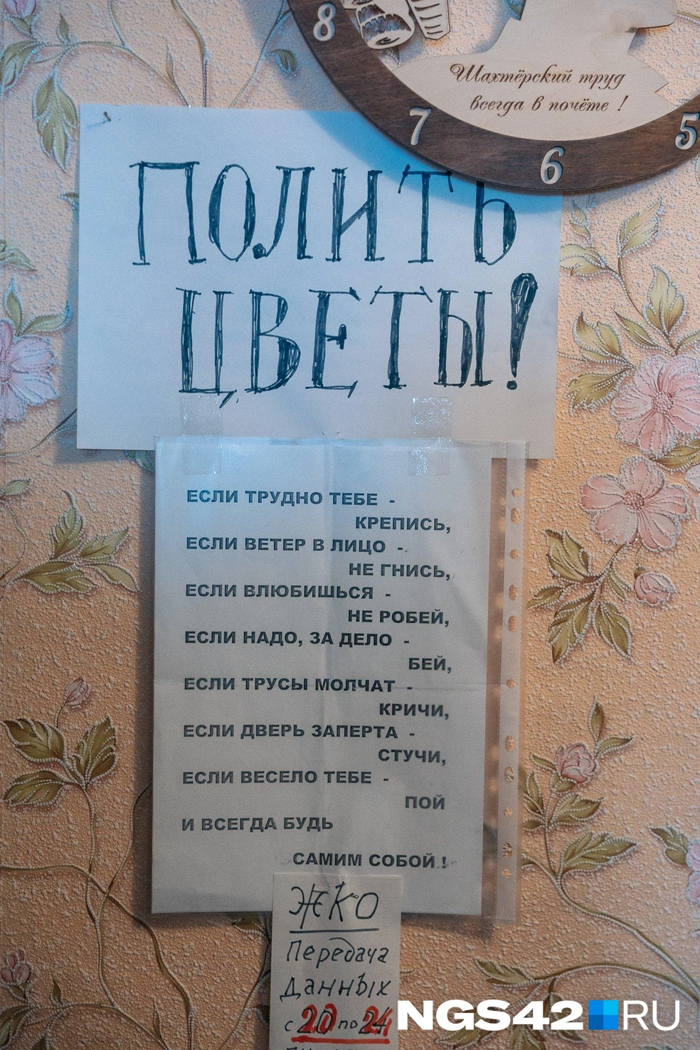Ветеран живет один и в свои 99 лет отлично справляется с бытом | Источник: Максим Серков / NGS42.RU