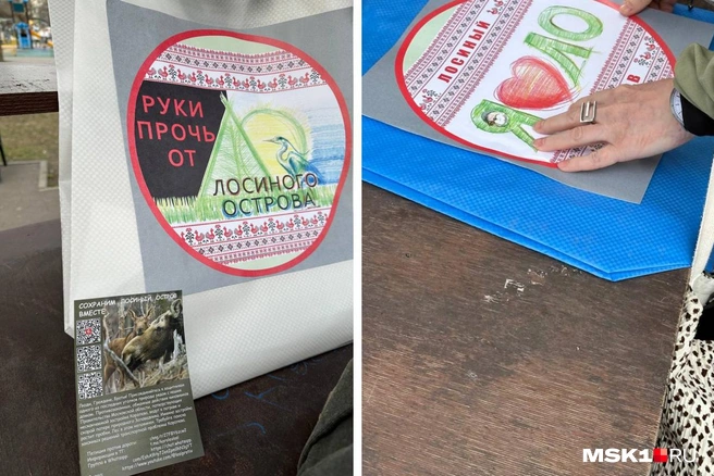 Активисты из Королёва готовятся к встрече с властями по поводу «Лосиного острова» | Источник: Андрей Кузнецов / MSK1.RU