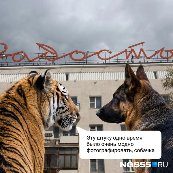 Для многих город ассоциируется с радостью во всех смыслах | Источник: Евгения Бикунова / Городские медиа