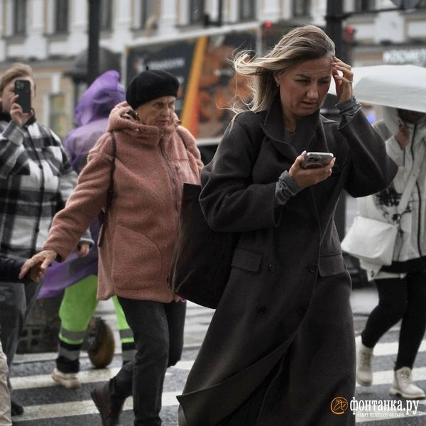 Источник: Павел Даиси / «Фонтанка.ру»