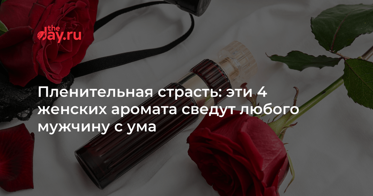 Секрет женской дружбы разные вкусы на мужиков и одинаковые на вино картинки