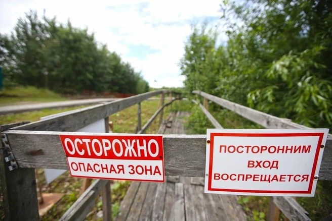 автор фото Павел Каравашкин / «Фонтанка.ру» | www.fontanka.ru