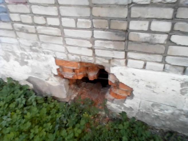 Жильцы жалуются, что из-за затопленного подвала в квартирах постоянно летают комары | Источник: Предоставлено жильцами дома № 10Б на улице Половинской
