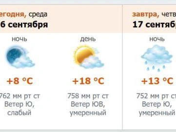 Источник: скриншот с meteo.nw.ru