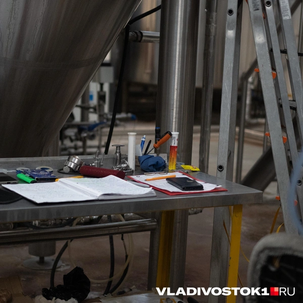 Источник: Елена Буйвол / VLADIVOSTOK1.RU