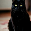 userpic__Виолетта