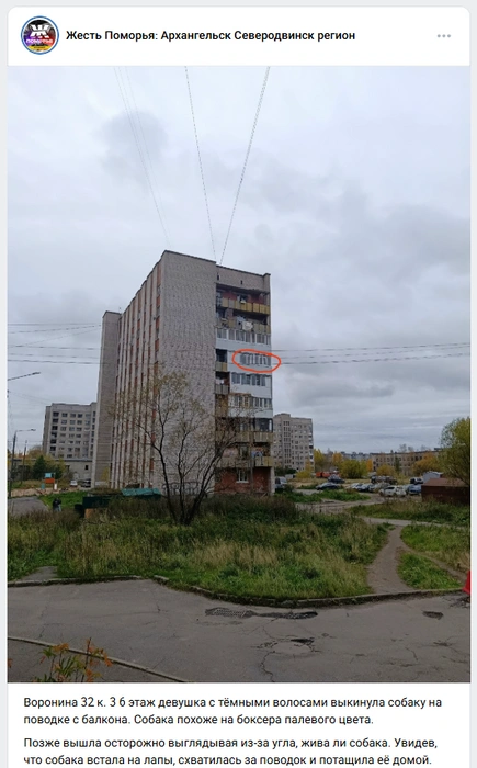 Источник: Жесть Поморья: Архангельск Северодвинск регион / Vk.com