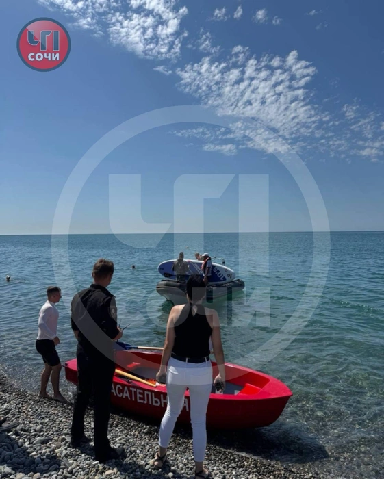 Спасатели отреагировали моментально | Источник: chp_sochi /t.me
