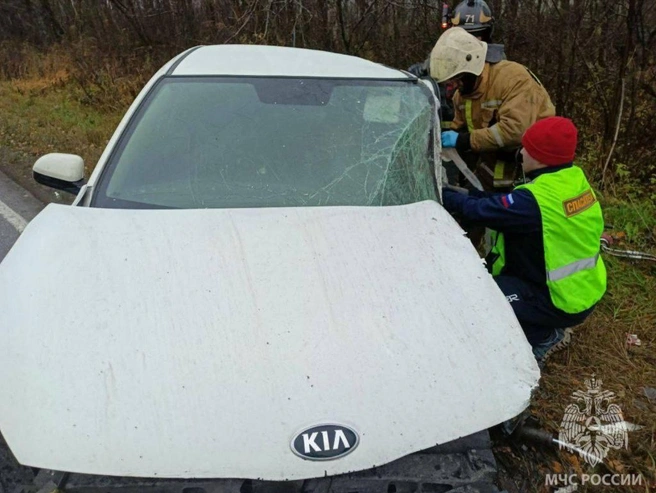 Двух человек вырезали из разбитой машины после ДТП с грузовиком в Ленобласти | Источник: Официальный канал МЧС Ленобласти